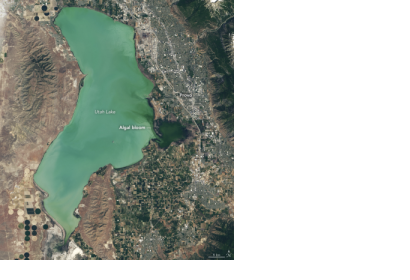 Utah Lake, captured by NASA/USGS's Landsat 8, June 20, 2017. The darker green area shows the highest concentration of algal blooms. Image: NASA.