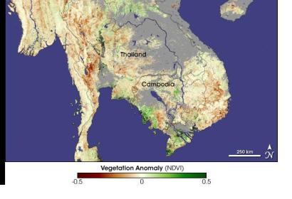 Image courtesy of NASA, created by Jesse Allen, Earth Observatory, using data provided by the joint Global Agricultural Monitoring Project between NASA, USDA's Foreign Agricultural Service (FAS), and the University of Maryland