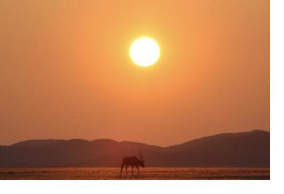Photo by Tim Gray, The Sossusvlei area of Namibia, WMO 2023 calendar competition