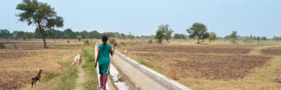 Dried-up canal in Gujarat