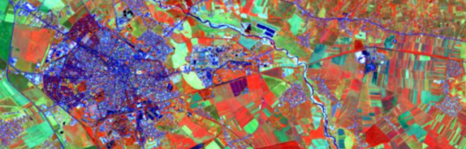 False colour representation of healthy vegetation