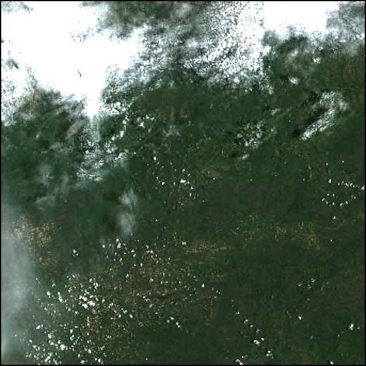 Zambia on January 29, 2023. Image: Sentinel 2B (The International Charter Space and Major Disasters) Zambia on January 29, 2023. Image: Sentinel 2B (The International Charter Space and Major Disasters)